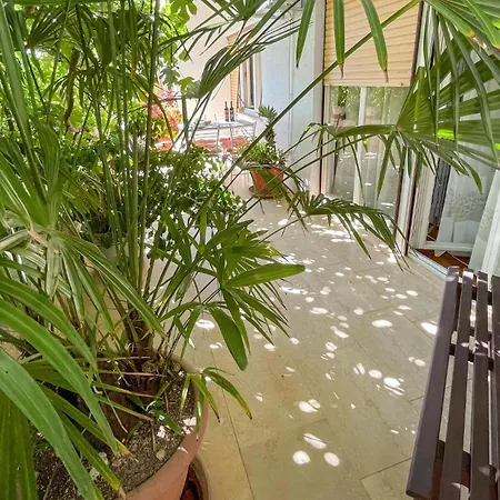 Beautiful In With Wifi Apartment *